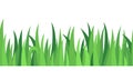 Seamless grass. A strip of dense vector grass without borders and seams. Vector illustration.